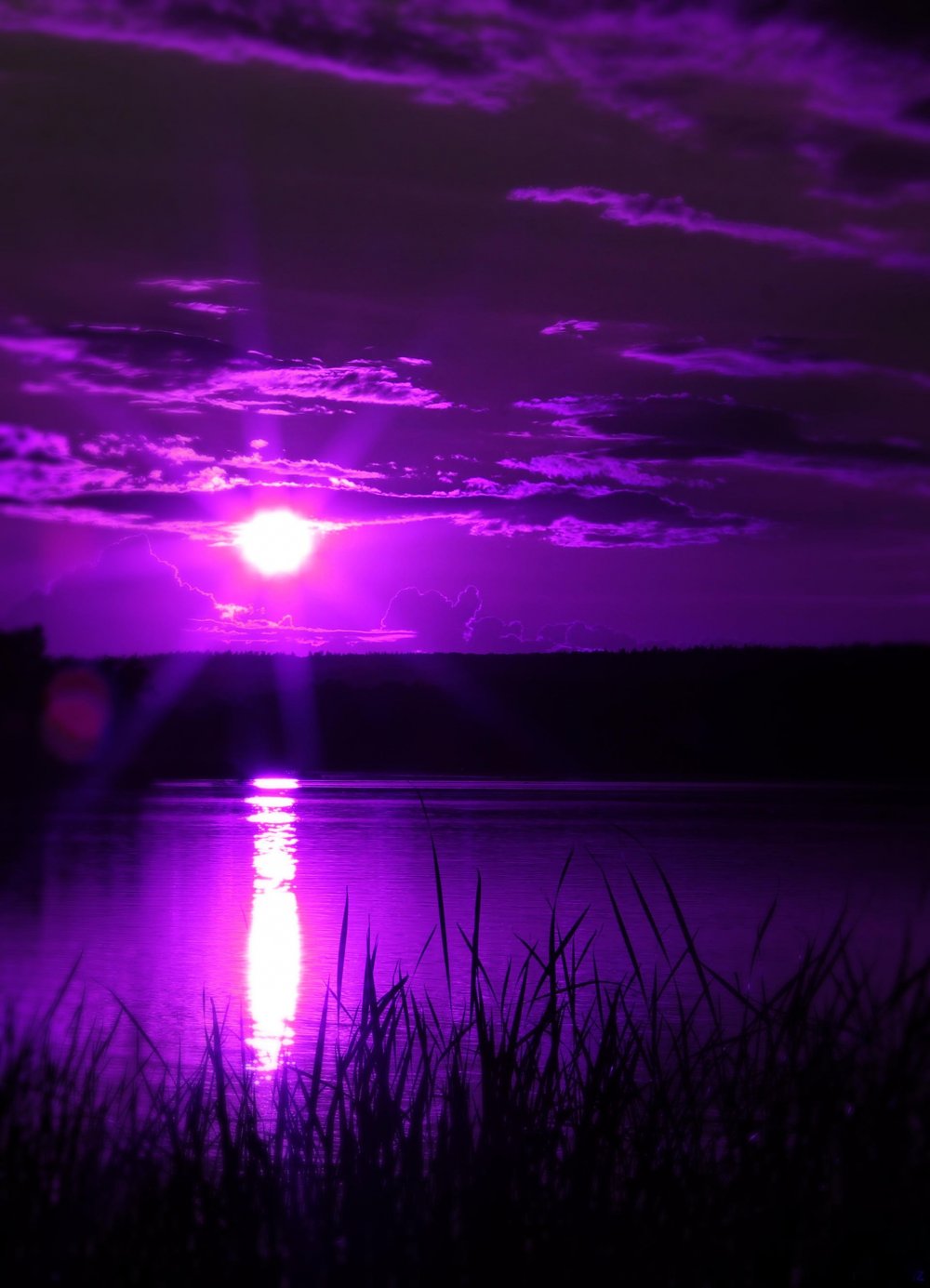 Фиолетовый рассвет