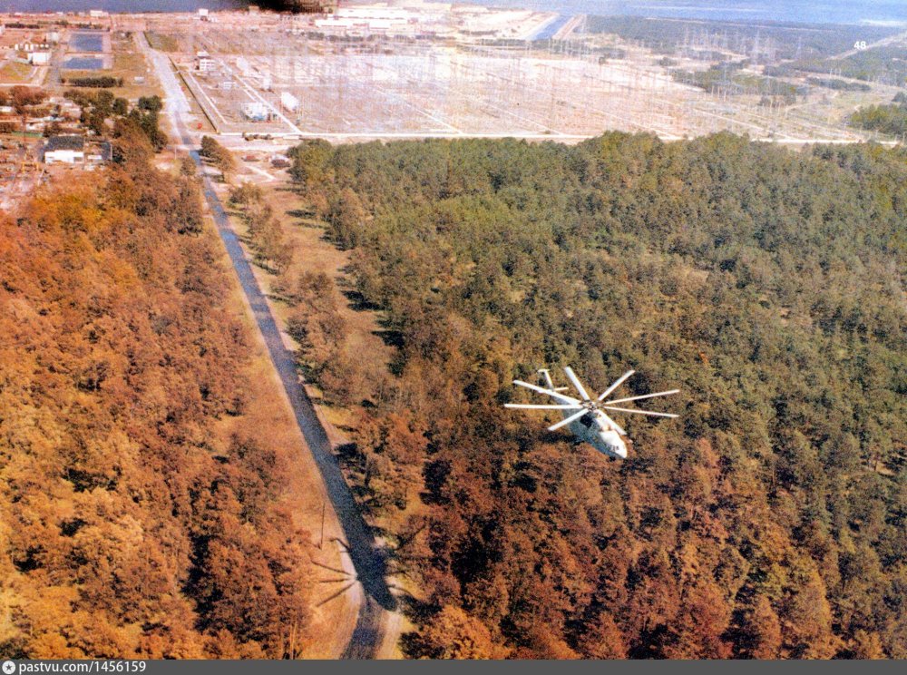 Рыжий лес Припять 1986