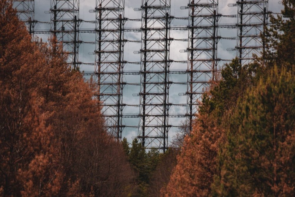 Рыжий лес Чернобыль радиация