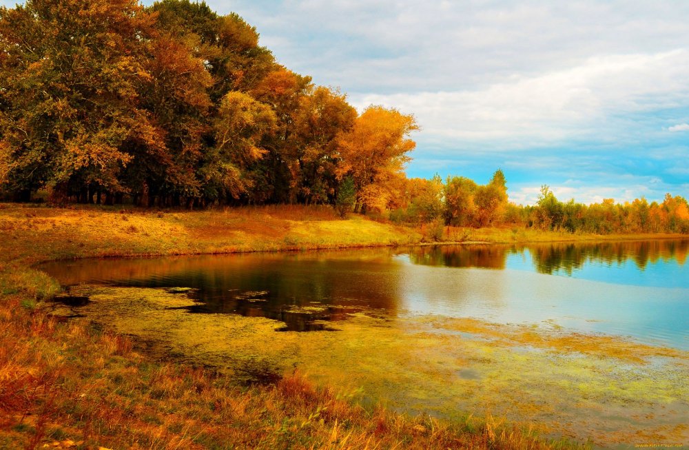 Осенний пейзаж на реке