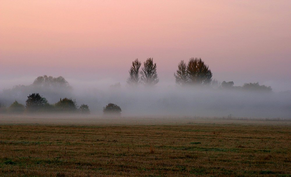 Туман на полях осенью