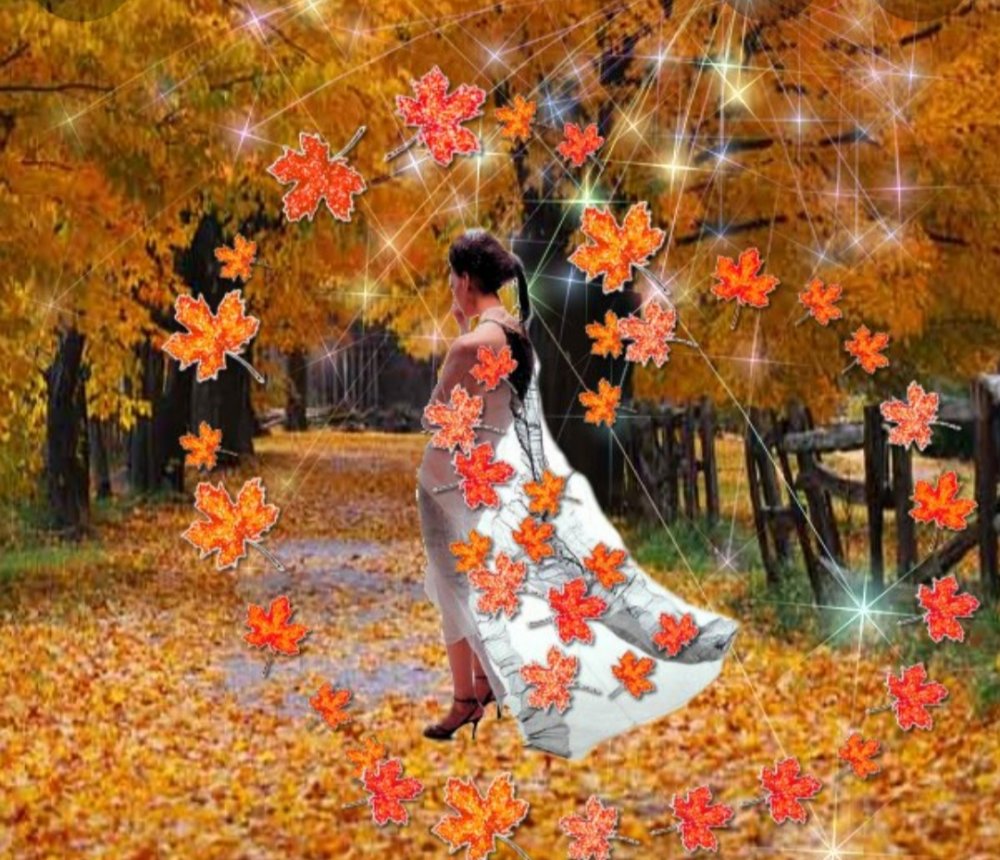 Осенний листопад любовь