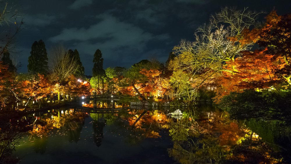 Япония парки пруд Osaka