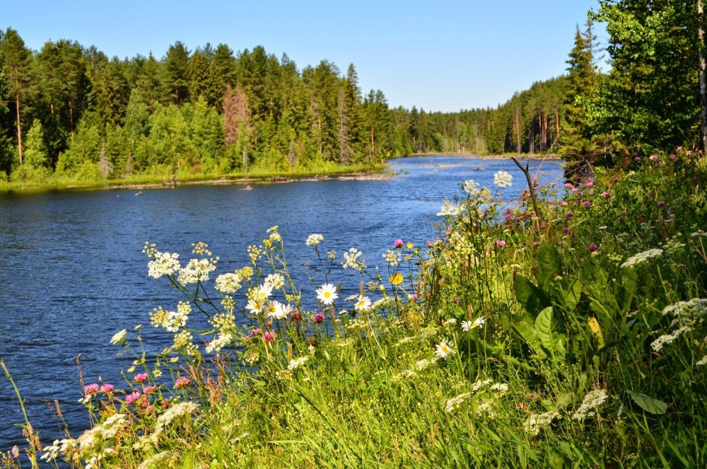 Река вотка в Воткинске