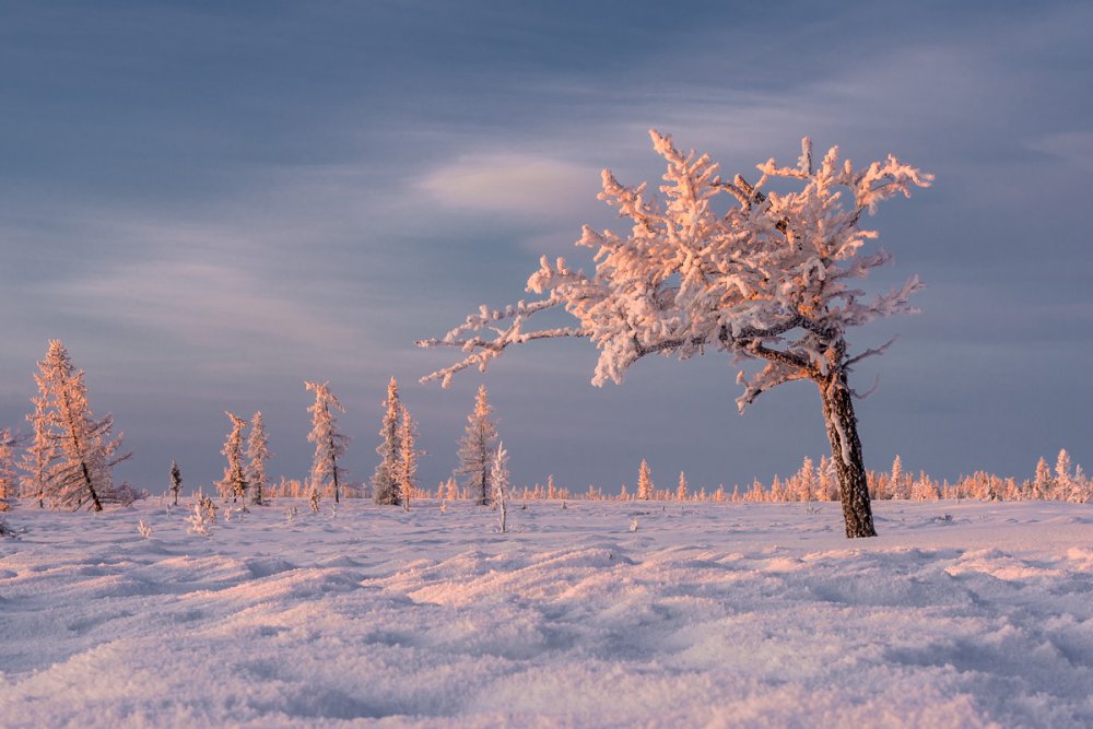 Зима Ямал пейзаж фотограф Кирилл Уютнов