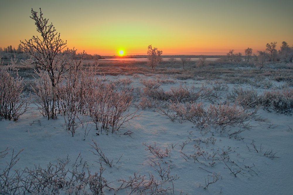 Тундра зимой Восход Воркута