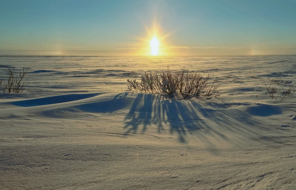 Арктическая Полярная тундра зимой