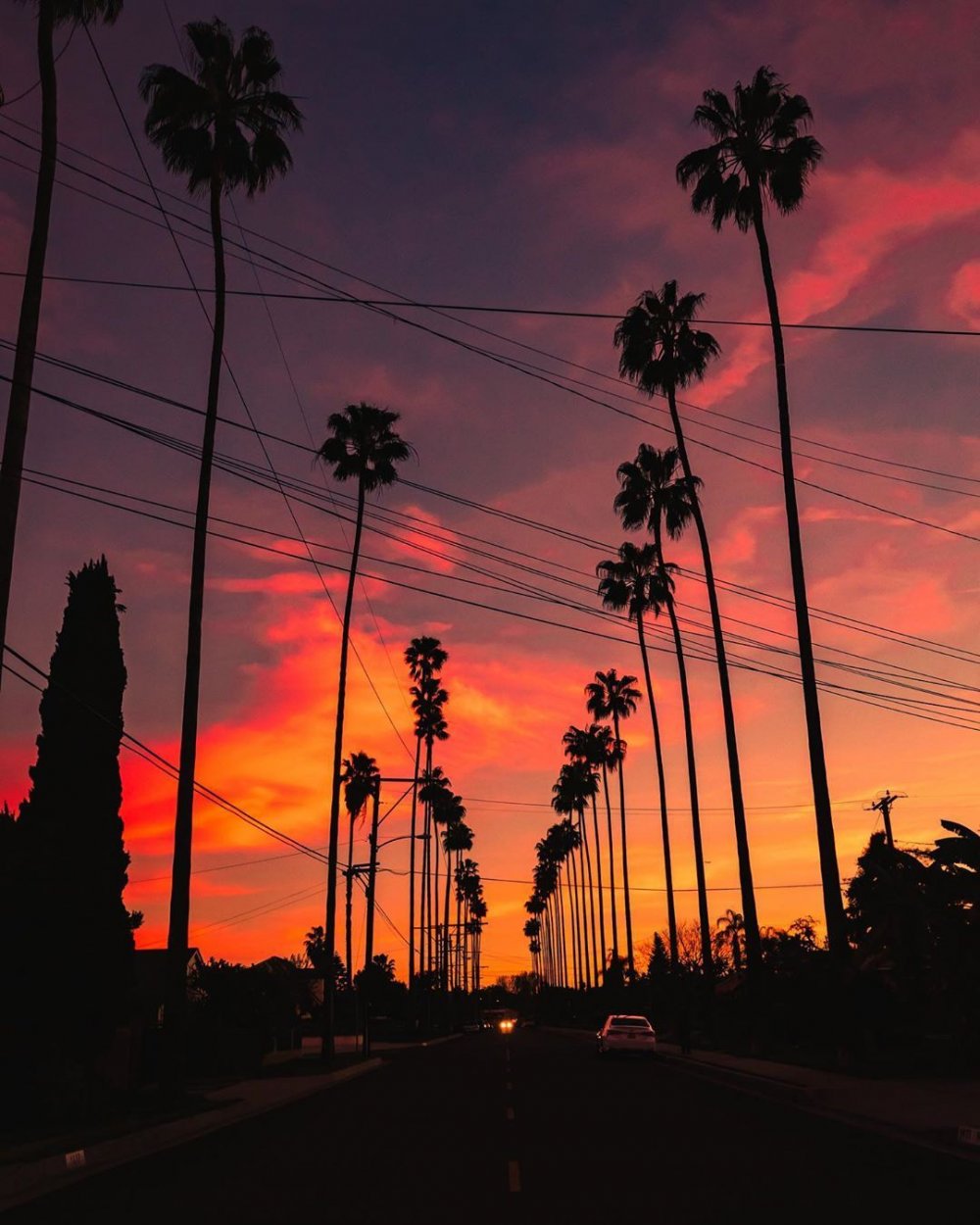 Санта Моника Лос Анджелес закат пальмы