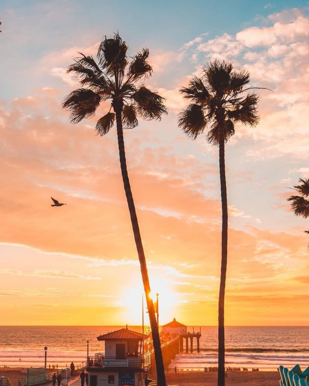 Лос Анджелес пальмы закат