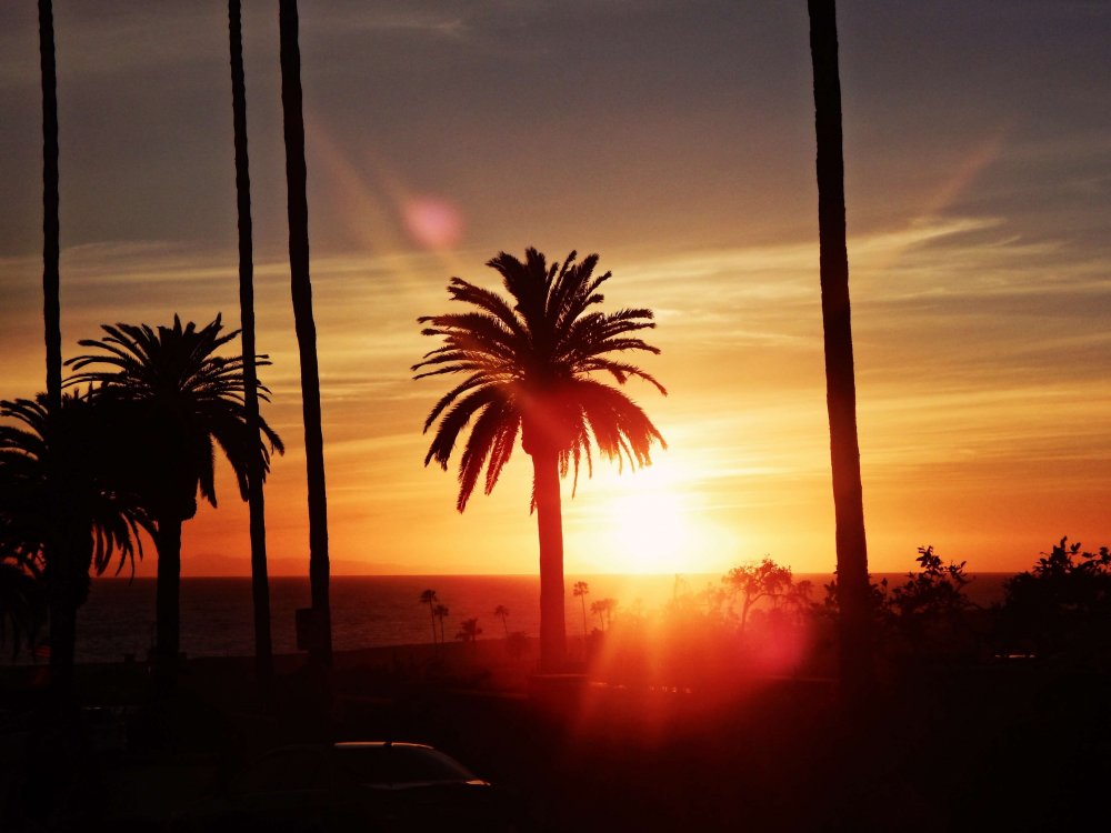Лос Анджелес пальмы закат