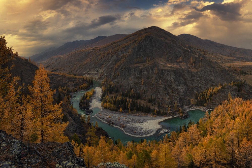 Аргут реки Республики Алтай
