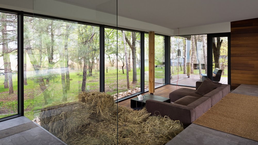 Дома в лесу с панорамными окнами