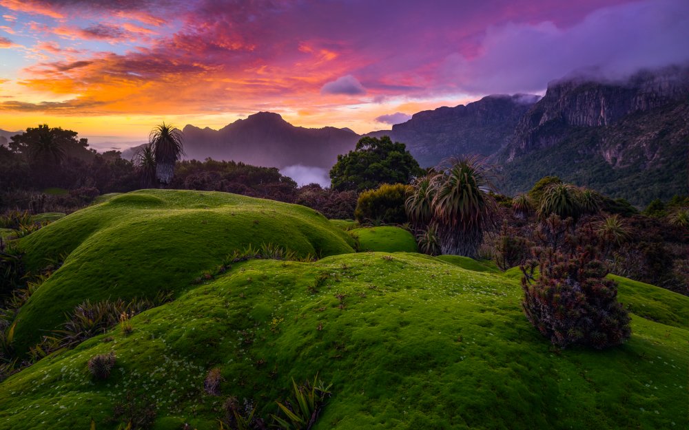 Пейзажи Тасмании