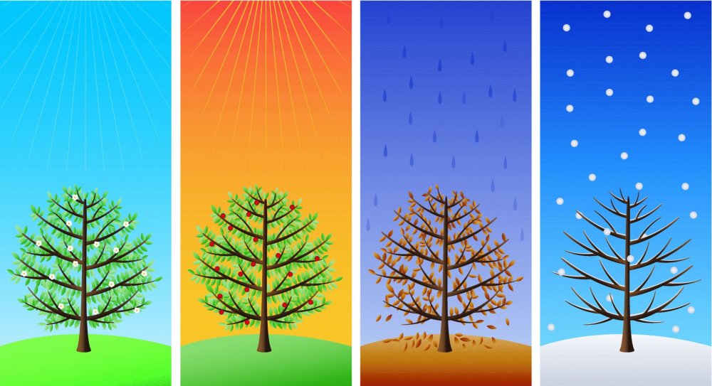 Сезонные изменения деревьев