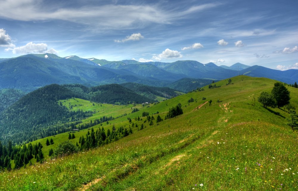 Карпатские горы Закарпатье