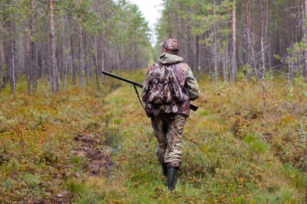 Охотник с ружьем в лесу