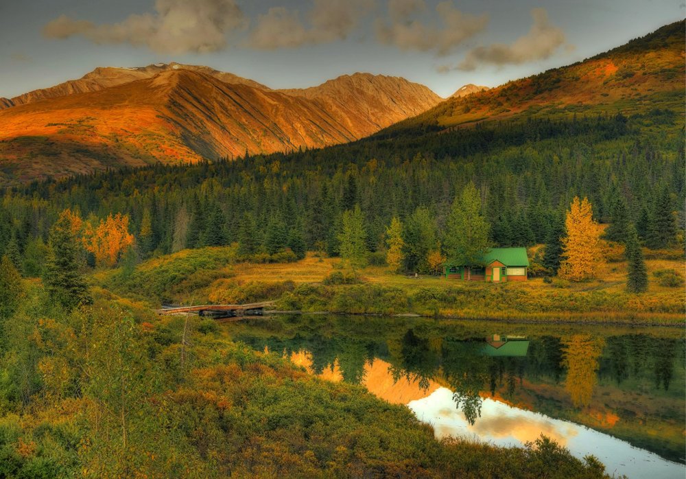 Лесные пейзажи штат Аляска