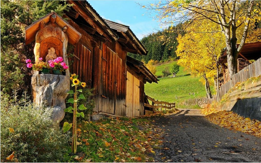 Деревенский дом с двориком осень