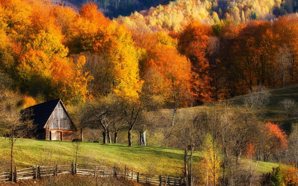 Золотая осень в деревне
