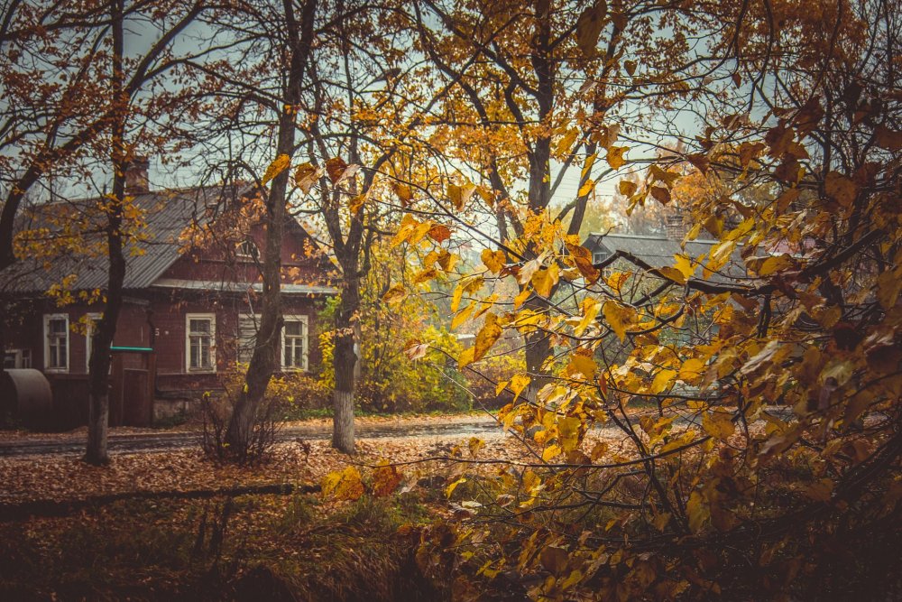 Деревенский дом осенью