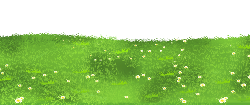 Клипарт трава на прозрачном фоне
