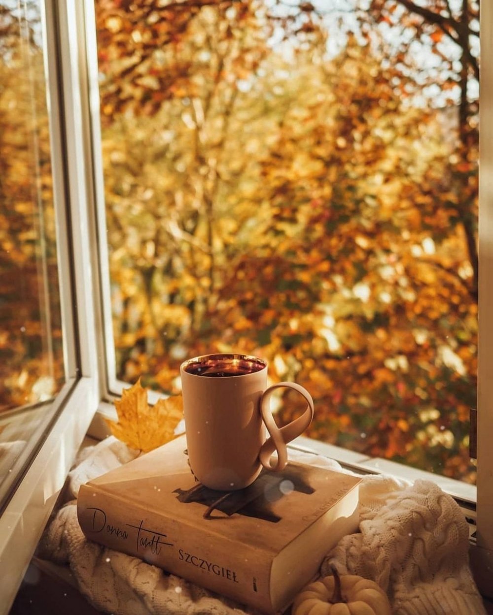 Утро кофе осень