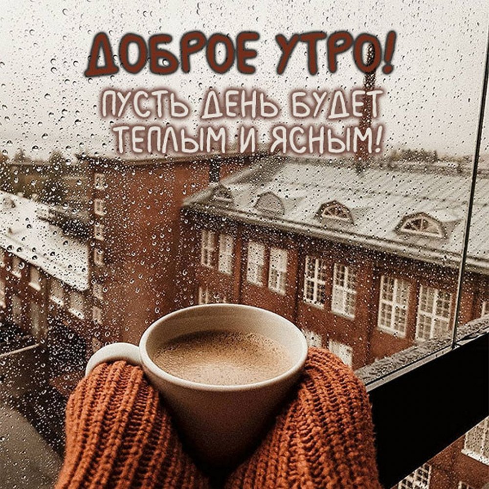 Чай и дождь за окном
