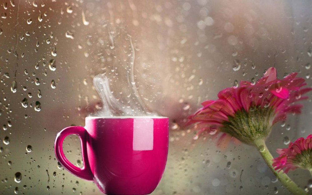 Цветы кофе дождь