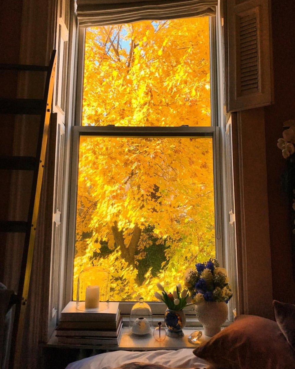 Вид из окна осень