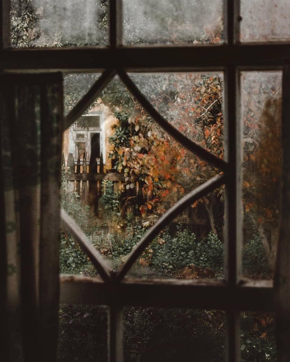 Осень дождь за окном