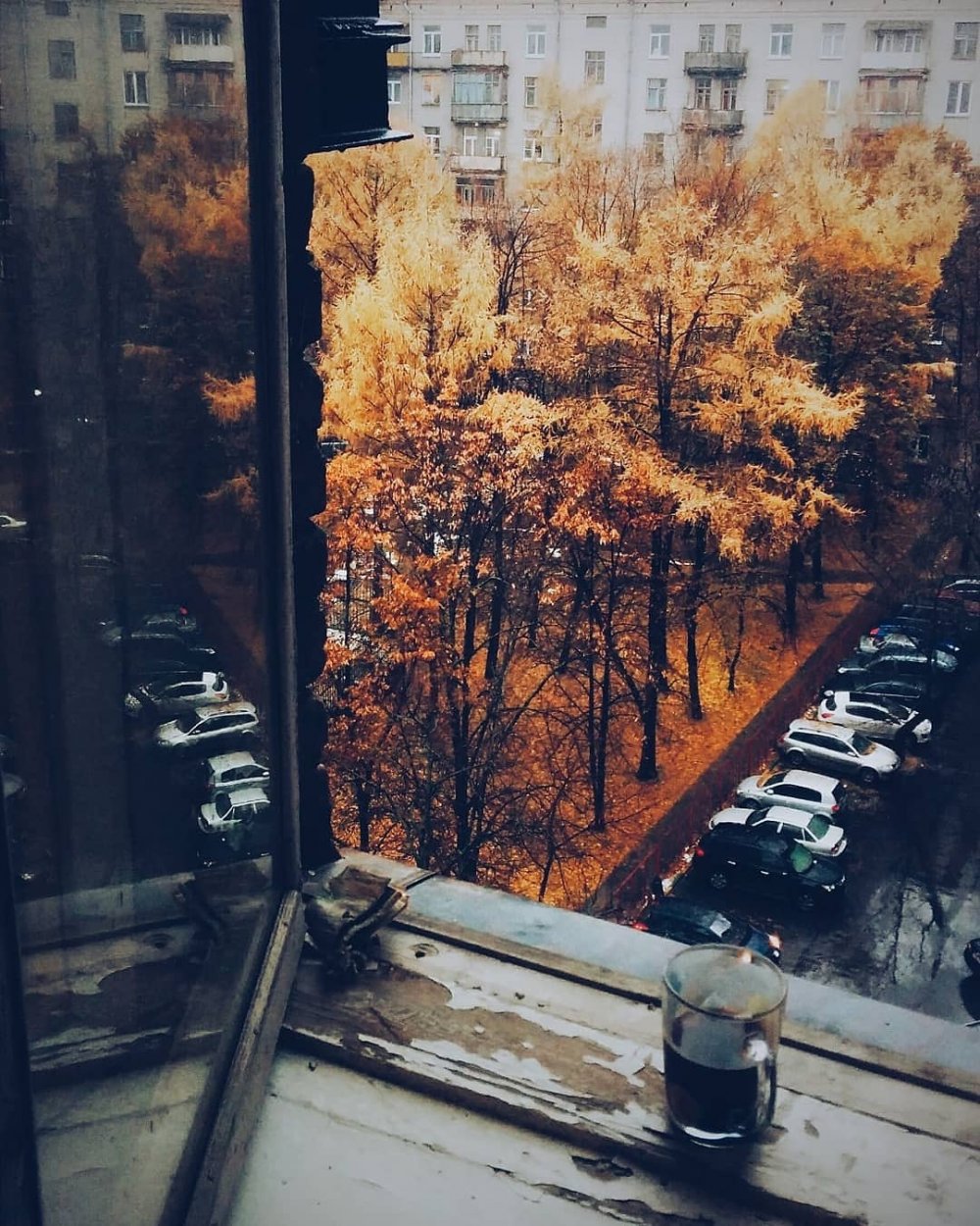 Осенний вид из окна
