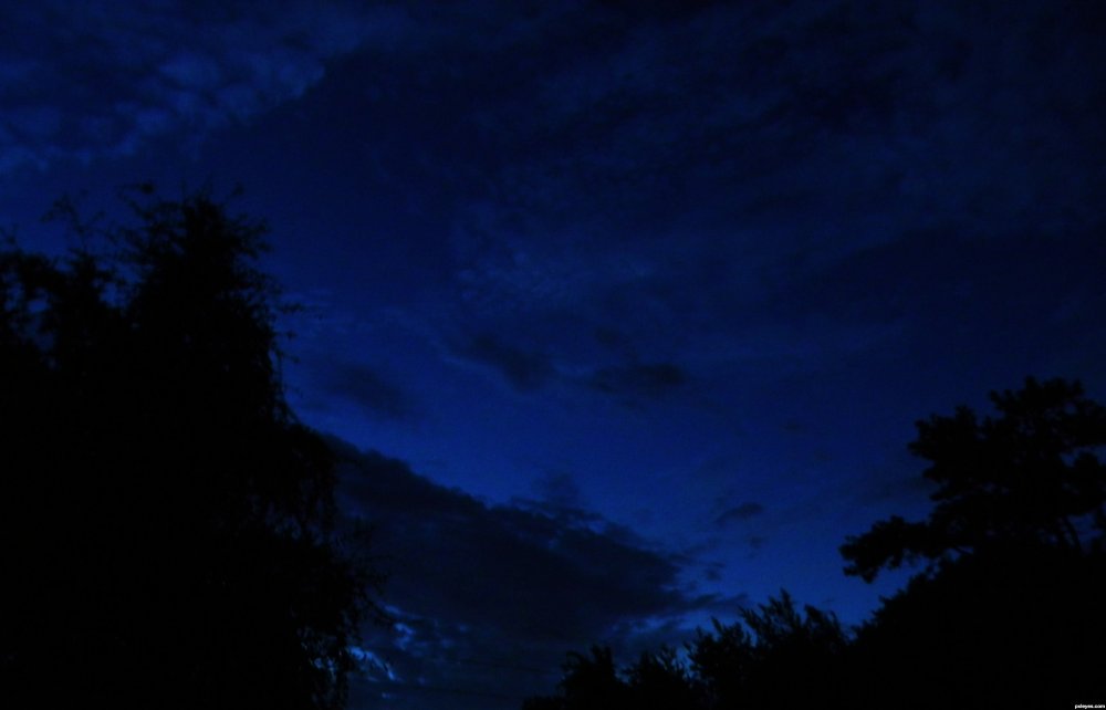Ночной синий цвет