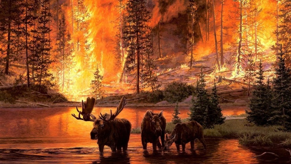 Пожар в лесу и звери