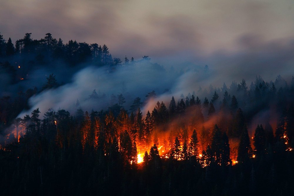 Пожар леса