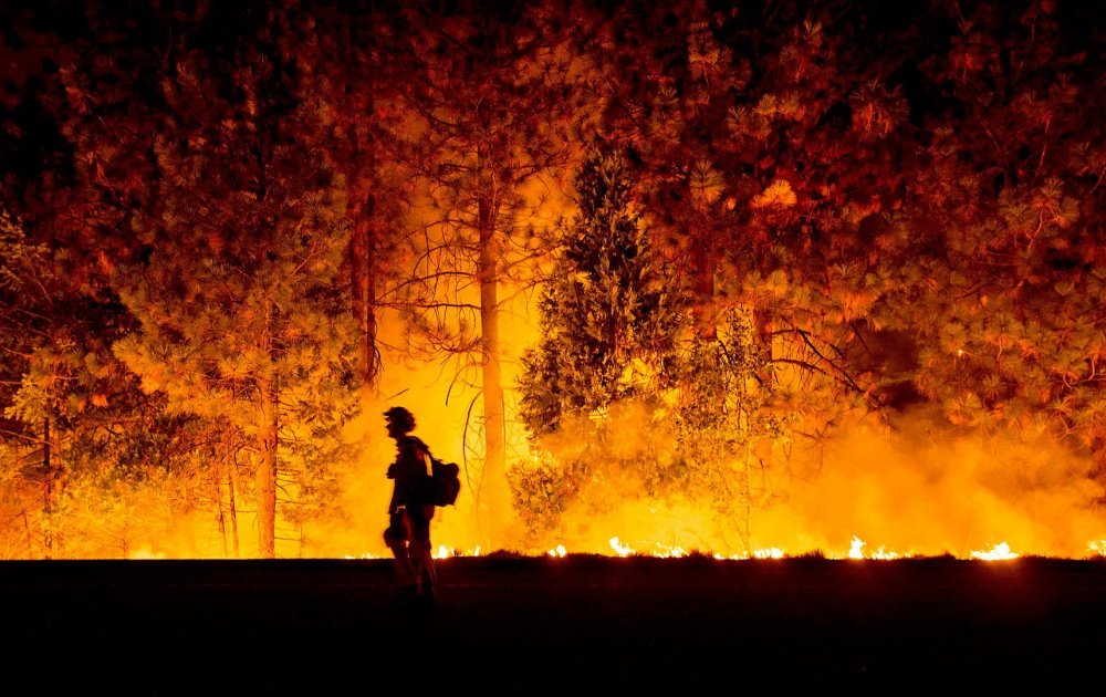 Лес в огне