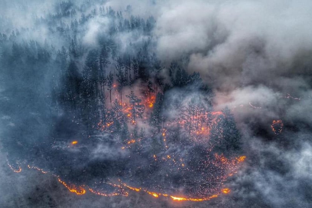 Пожар леса в Сибири 2019