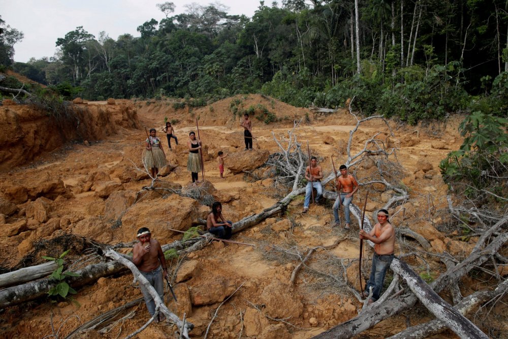 Вырубка тропических лесов Амазонии