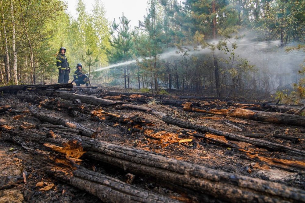 Лесные пожары в Рязанской области в 2022г
