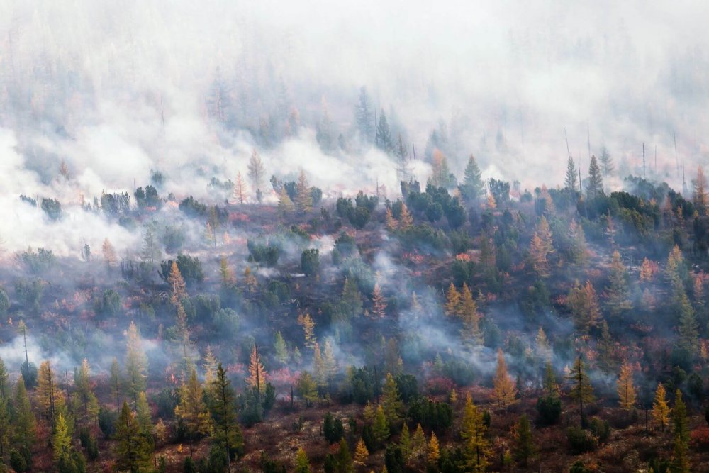 Смог от лесных пожаров