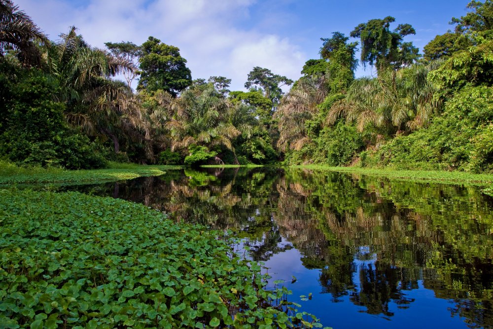 Национальный парк Соберания Панама