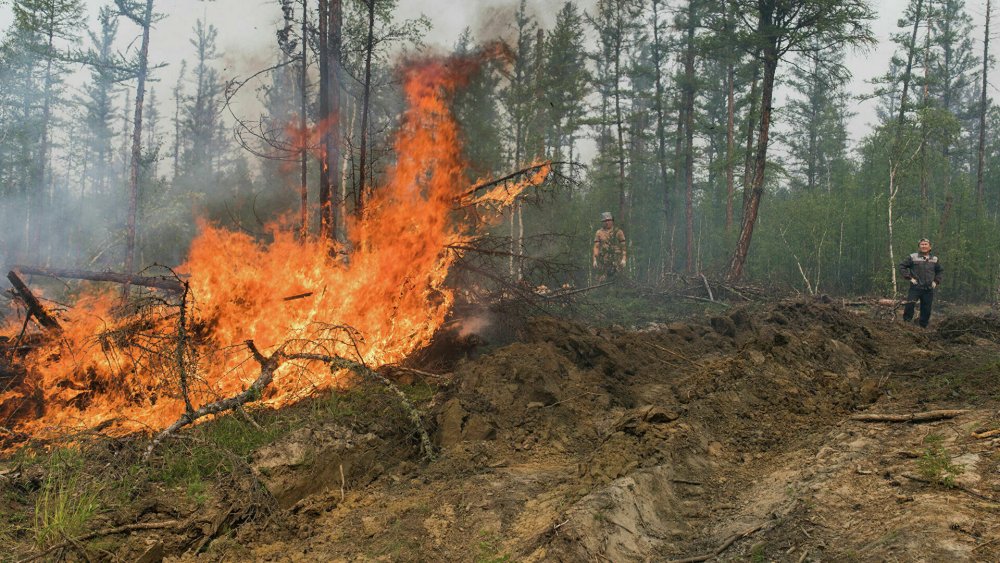 Лесные пожары в Якутии 2021