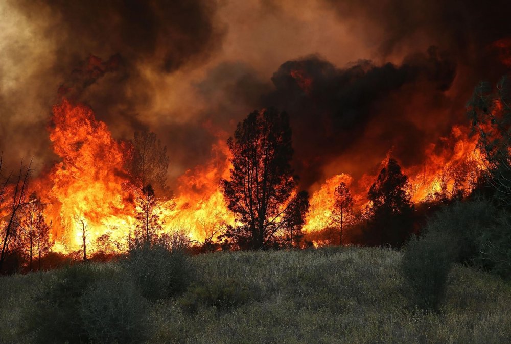 Лесные пожары торфяные пожары степные пожары