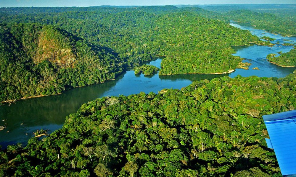 Национальный парк Амазония
