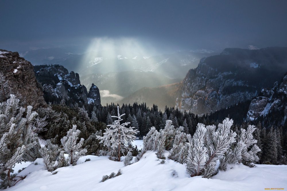Карпатские горы Румыния зима