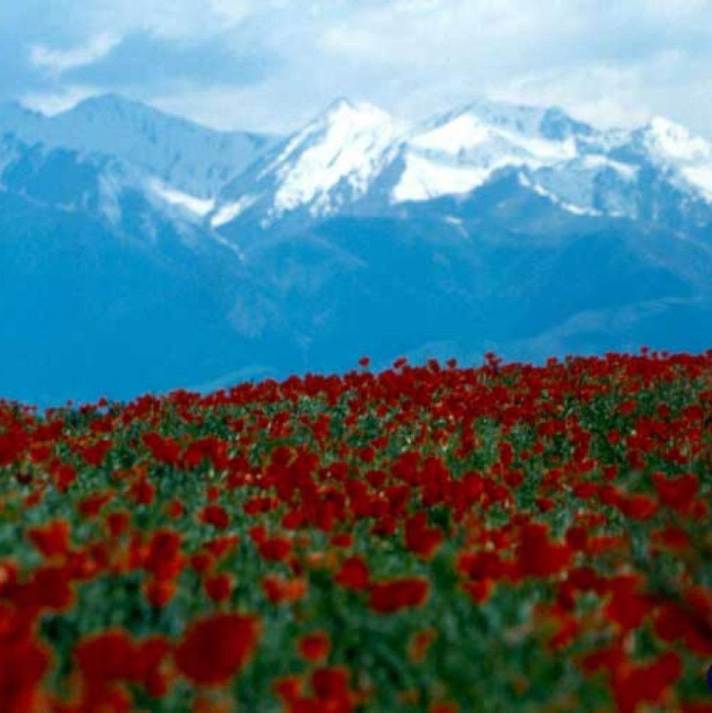 Горы Кыргызстана ала Арча