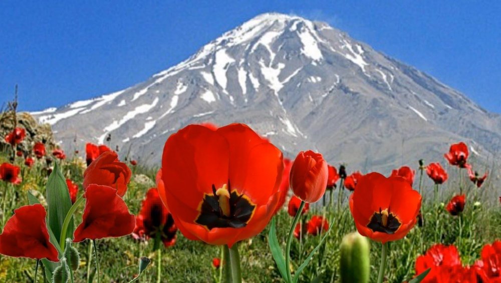 Горы Киргизии и Казахстана