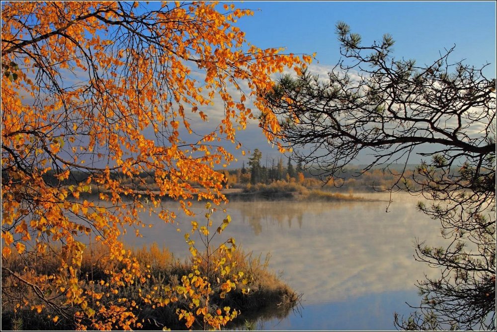 Река Ока Пущино поздняя осень