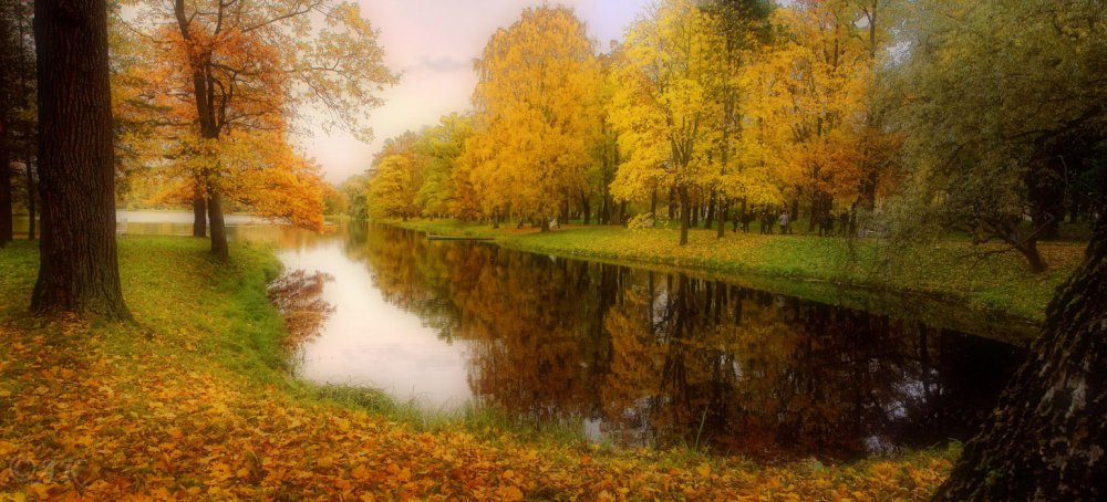 Пушкинский лес осенью