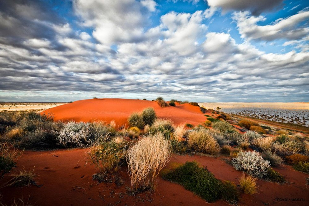 Полупустыни Австралии
