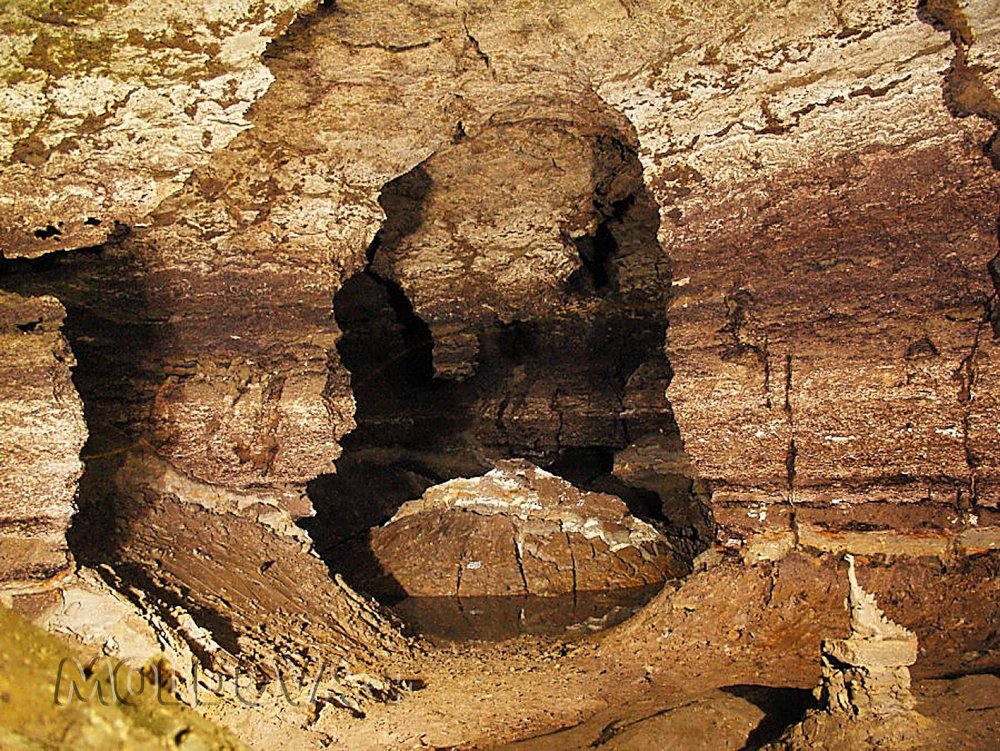 Пещера Emil Racoviță